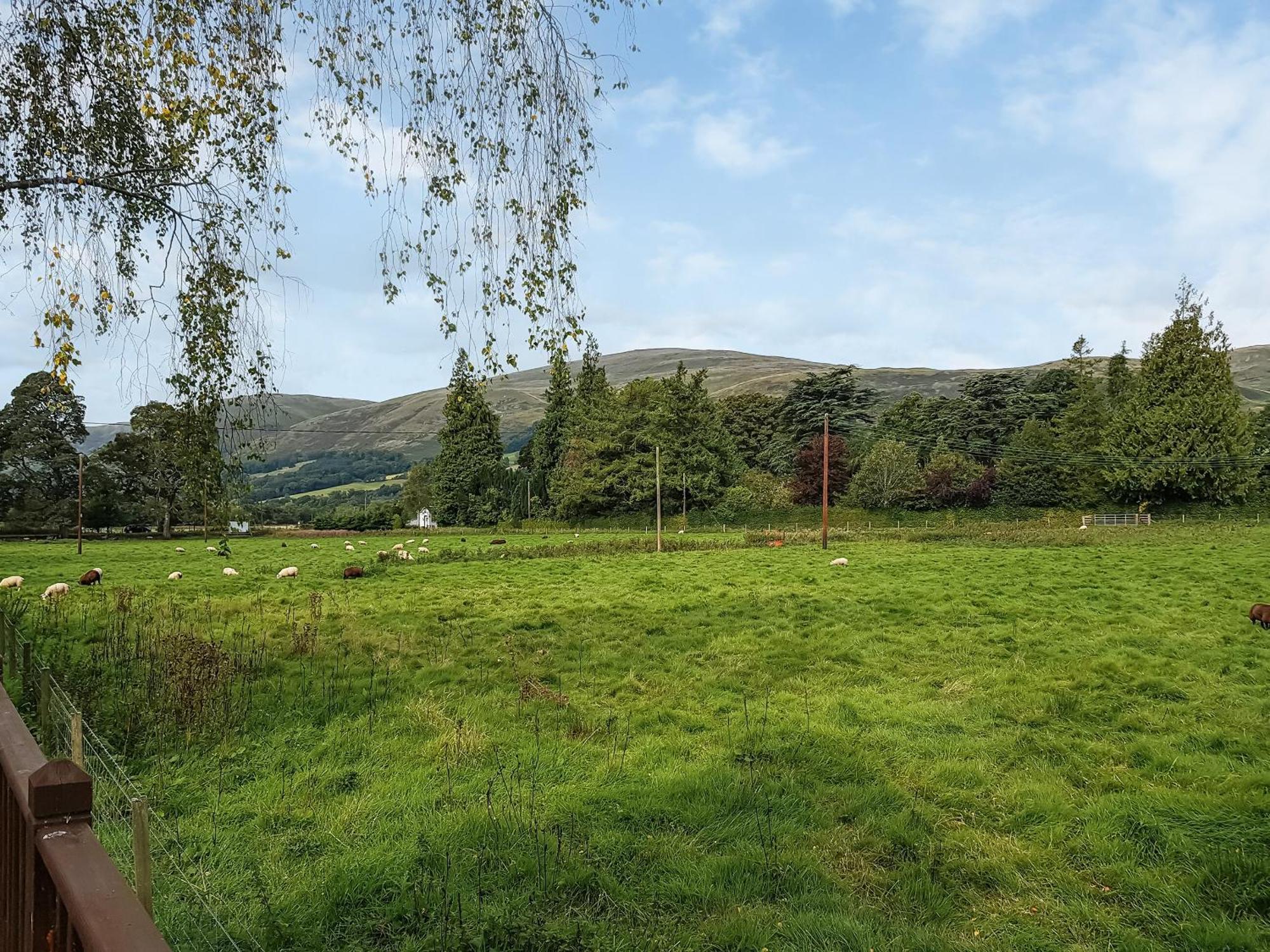 Glenbeagles Lodge Dollar Екстериор снимка